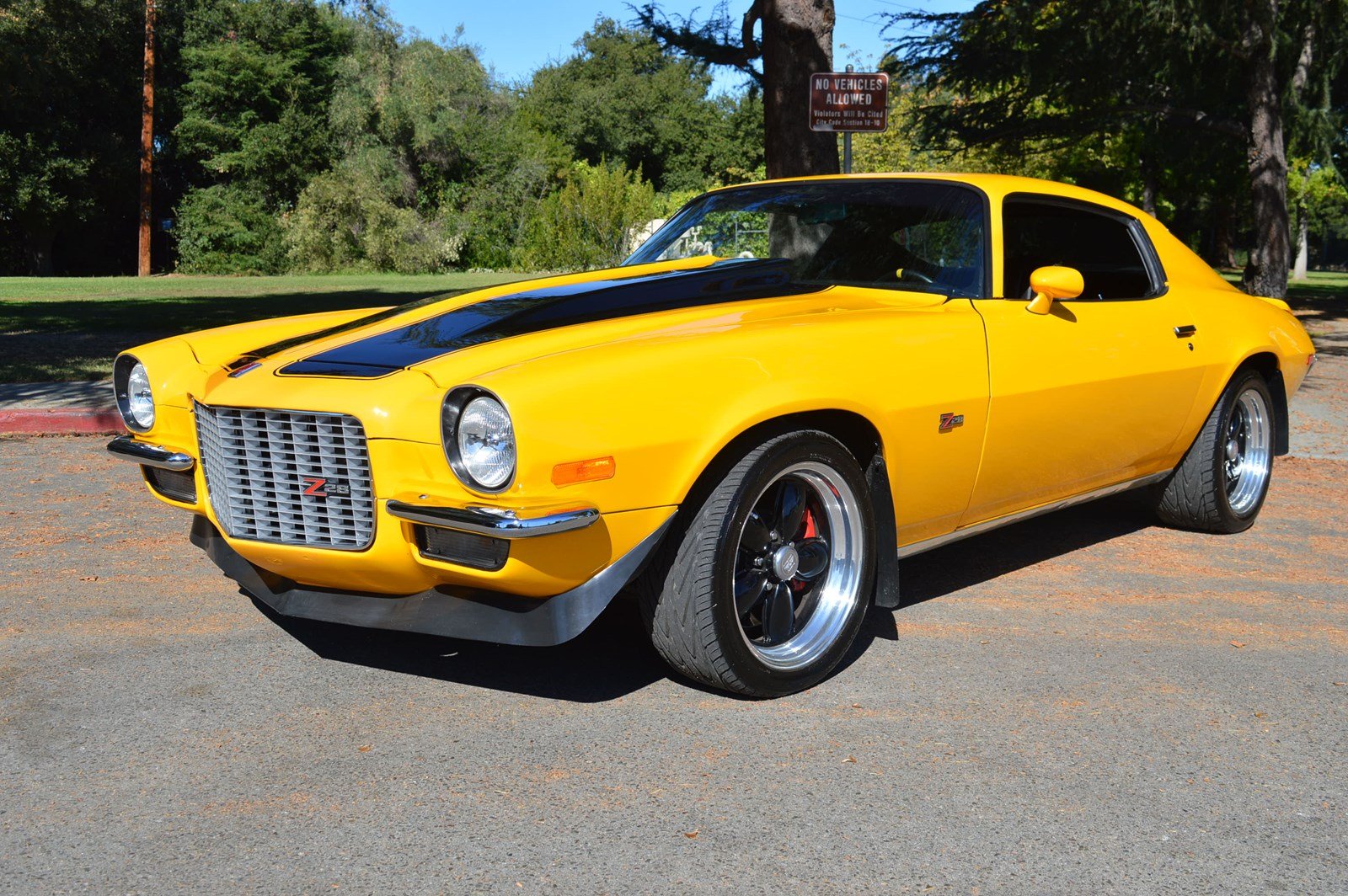 Chevrolet Camaro Z28 1967 1968 1969 1970 